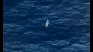 Света - Рига