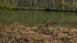 Mountain Monster 02X05 ("Fire Dragon of Pocahontas County")