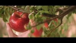 Aqua Minerale с соком: Вкус такой мягкий (2017)