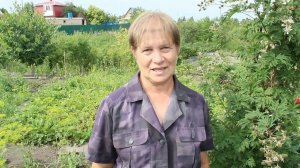 Ежевика Эвергрин торнлес