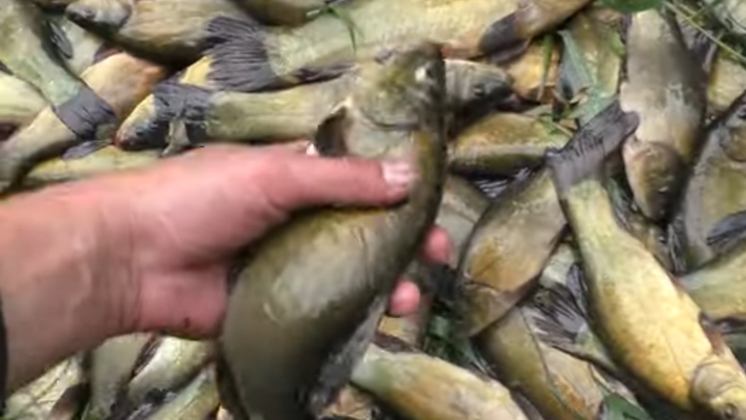 ОДНИ НА ОСТРОВЕ С НОЧЕВКОЙ! ОГРОМНЫЕ ЛИНИ НА ЗИМНЮЮ УДОЧКУ С ЛОДКИ! рыбалка с лодки на зимнюю удочк смотреть онлайн