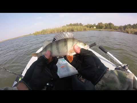 Окунь как всегда радует