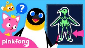 Explore Fun Facts about Animal Body Parts | Learn with Pinkfong & Baby Shark | Pinkfong for Kids