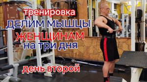 Тренировка. Делим мышцы женщинам на 3 дня. День второй. Мышцы спины и дельтавидные мышцы.