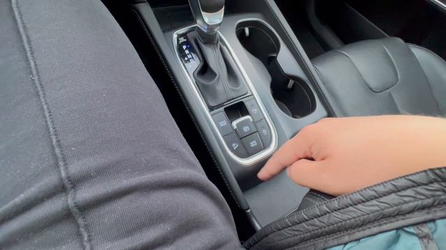 NYUNDAI SANTA-FE 2020 года смотреть онлайн