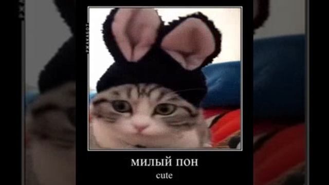 1000010398.mp4