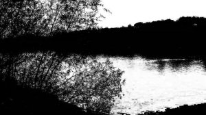 Игорь Лень - "Здесь..."