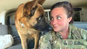 Эти Забавные Животные.
Выпуск №1