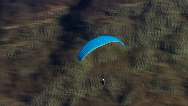 Muntanyes d'acollida смотреть онлайн