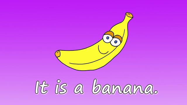 Learn Singular and Plural ｜ Talking Flashcards