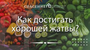 "Как достигать хорошей жатвы?" Нодари Мангасаров 29.09.2024