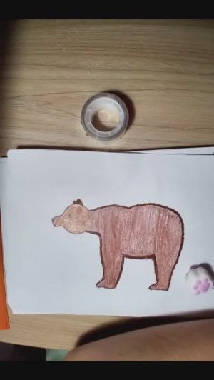 Как нарисовать медведя. Уроки рисования для детей