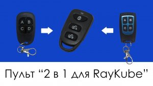 Пульт 2 в 1 для RayKube