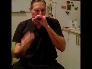 #губная_гармошка #harmonica 1/4, 1/8, 1/16 harmonica train #stratocastro