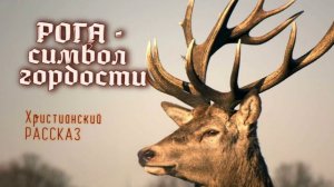 📗 "Рога - символ гордости" ~ РАССКАЗ Христианский для ДЕТЕЙ ~ 👧🟢 Тема: гордость ~ АУДИОРАССКАЗ