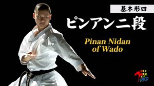 Пинан-нидан Wado karate