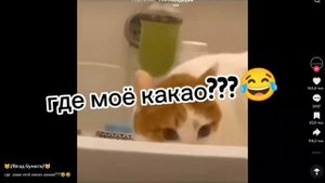 😡😡я к лп