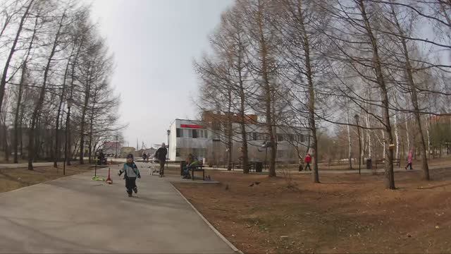 Синекан в парке