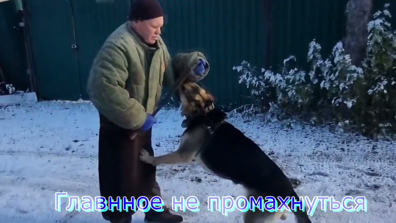 ДЖУММЭЙРА-ТРЕНИНГ