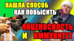 ЯЙЦЕНОСКОСТЬ и ИММУНИТЕТ у кур. Как их ПОВЫСИТЬ.