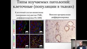 Лекционный курс для школ РАН «Перспективы разработки систем поддержки принятия врачебных решений»