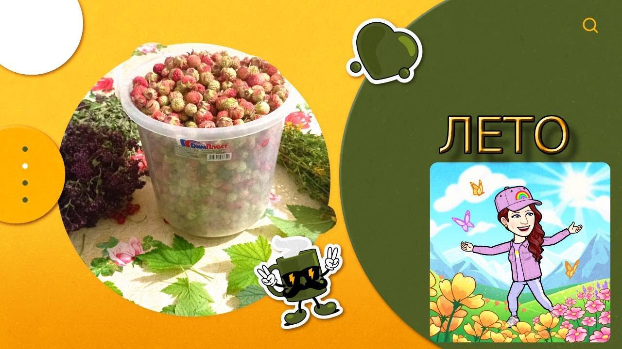 Лето