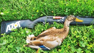 Осенняя охота на утку с подхода с 0,5 Progressom МР-155 в Томской области. Купить чок Прогресс.