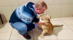 УРА! Олег Зубков ВЕРНУЛСЯ и сразу пошел к львичке -ресничке Асаде! Как она РАДА!!!