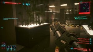 Cyberpunk 2077 - Морские свинки