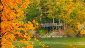 Прогноз на октябрь 2024 год. Стихия воды: рак, скорпион, рыбы