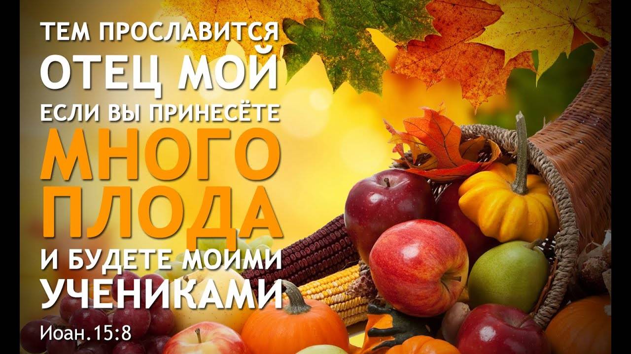ЦЕРКОВЬ#ВОСКРЕСНОЕ БОГОСЛУЖЕНИЕ#ЖАТВА#29.09.2024