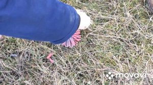 🔥СДЕЛАЛИ СВЯЗКУ ИЗ КОРСАРОВ✅ БОЛЬШАЯ СВЯЗКА ИЗ ПЕТАРД💣 !!!