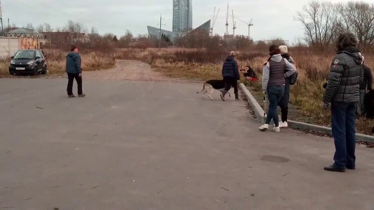 Рядовость Найгур