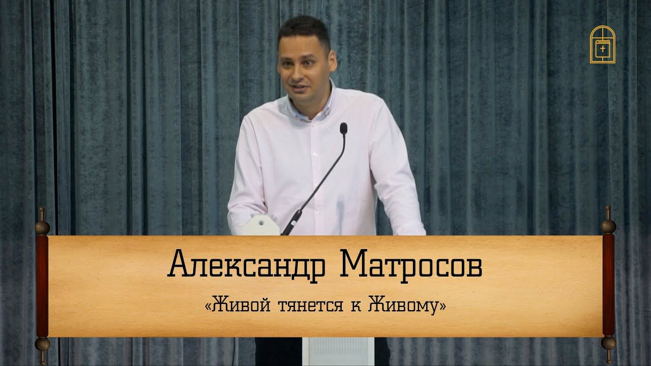 Александр Матросов - "Живой тянется к Живому"