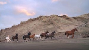 Бог никому не давал духа страха