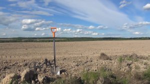 Поиск монет по распашкам и разведка подозрительных полян.