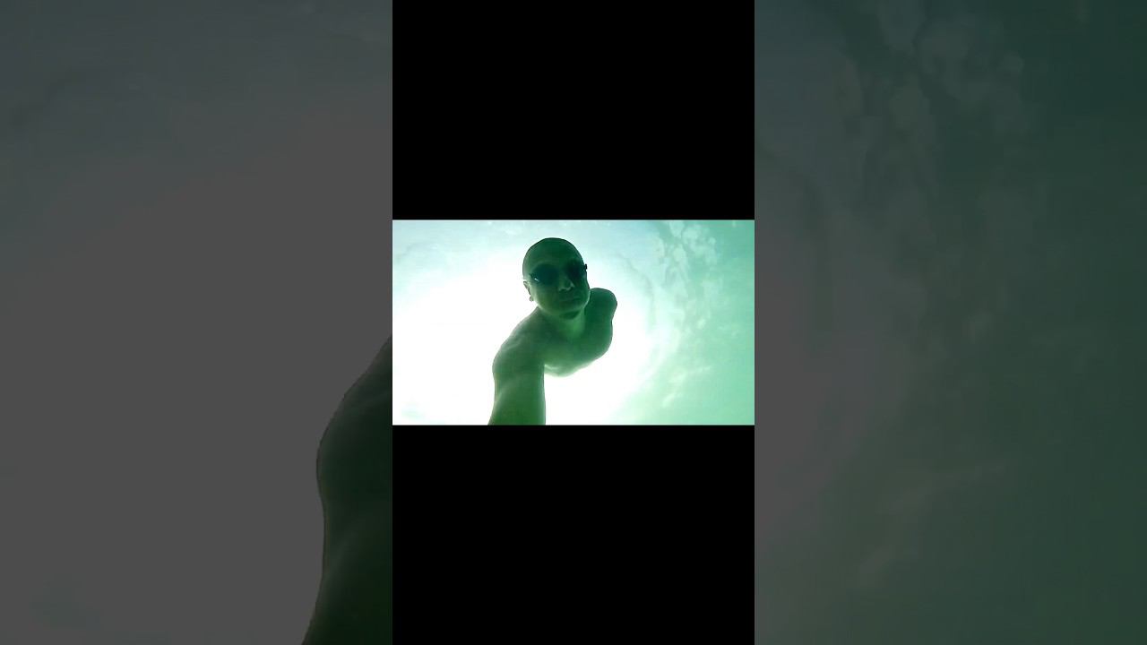 Геленджик подводный мир. смотреть онлайн