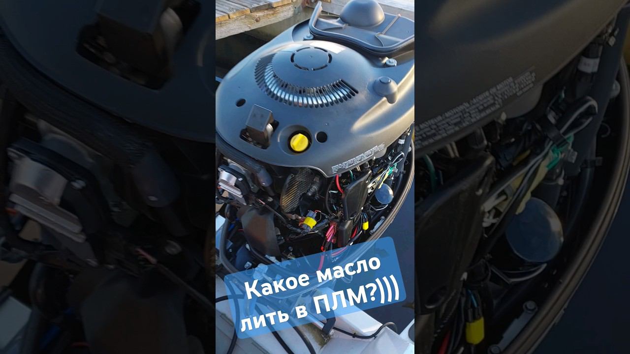 Как определить какое масло лить в мотор #катераияхты #маслодрочка #походнакатере