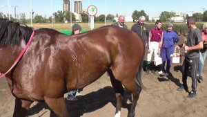 29.09.2024 г. награждение скачка 6