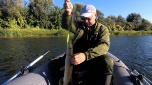 Мегабасс Х140 ловит и ловит..