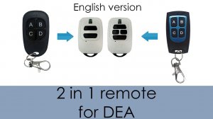 2 in 1 remote for DEA