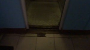 Пассажирские лифты V=0,71 м-с, Q=320 кг (4284)