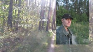 Стихи 16+. И.Бродский. Прочтение Владимира Коряковцева #литература#чтение#поэзия#стихи#сочинения#
