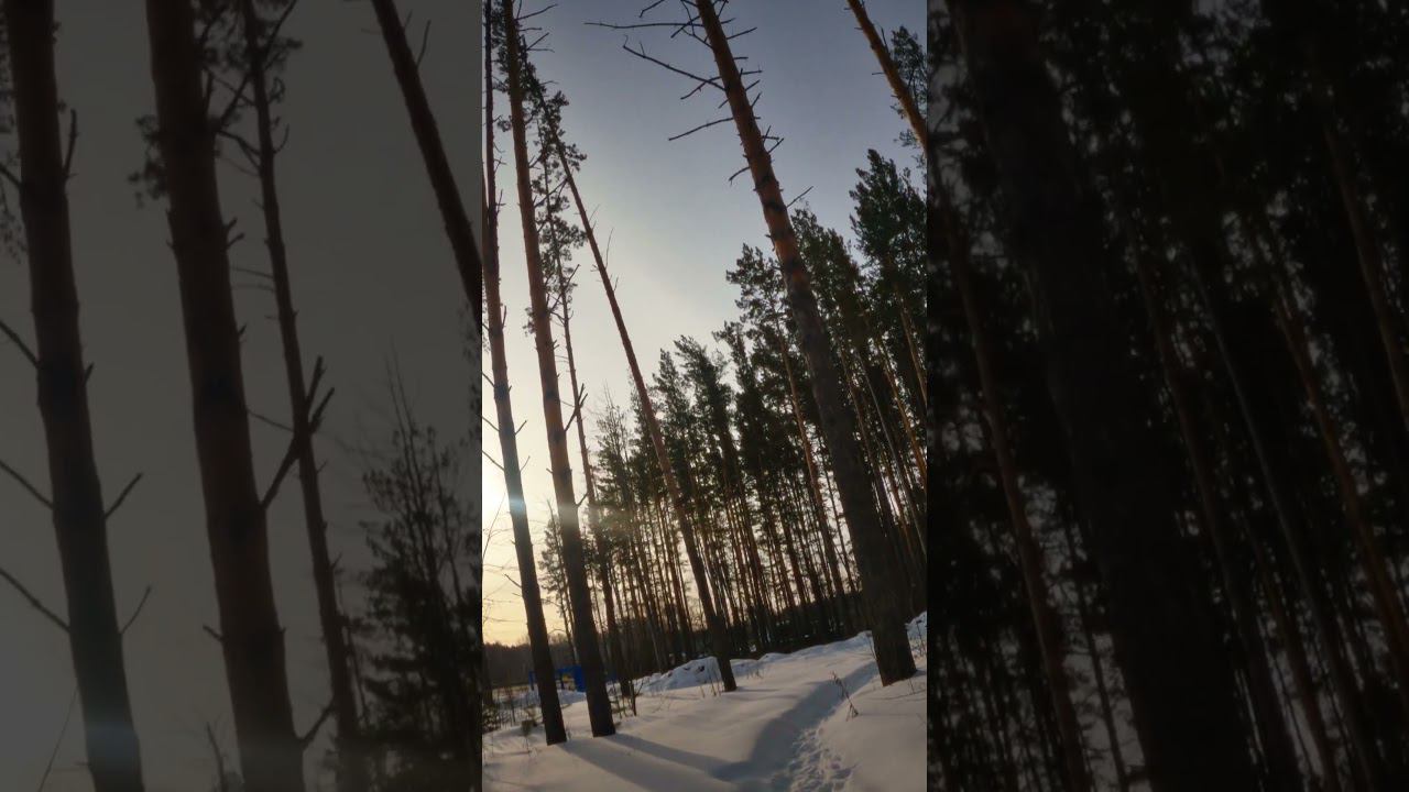 За хлебом #shorts #влог #велосипед #томск #зима #хлеб #фэтбайк