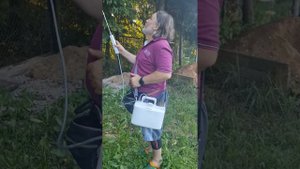 Обработка ёлок фитовермом от хермеса (паутинного клеща)