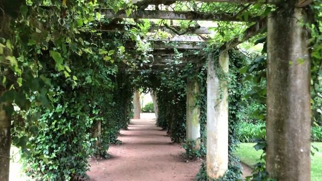 Парк Карлуш I Калдаш да Раиня Португалия смотреть онлайн