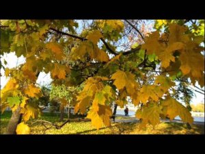 #Осень-пора любви Красивое осеннее слайд-шоу