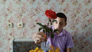 Пусть сбудутся Ваши мечты