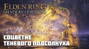СОЦВЕТИЕ ТЕНЕВОГО ПОДСОЛНУХА | ОРУЖИЕ ИЗ DLC | Elden Ring PvP