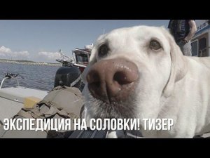 "Соловки: соединяя время и берега" | Экспедиция на рыболовных катерах Weldcraft | ТИЗЕР